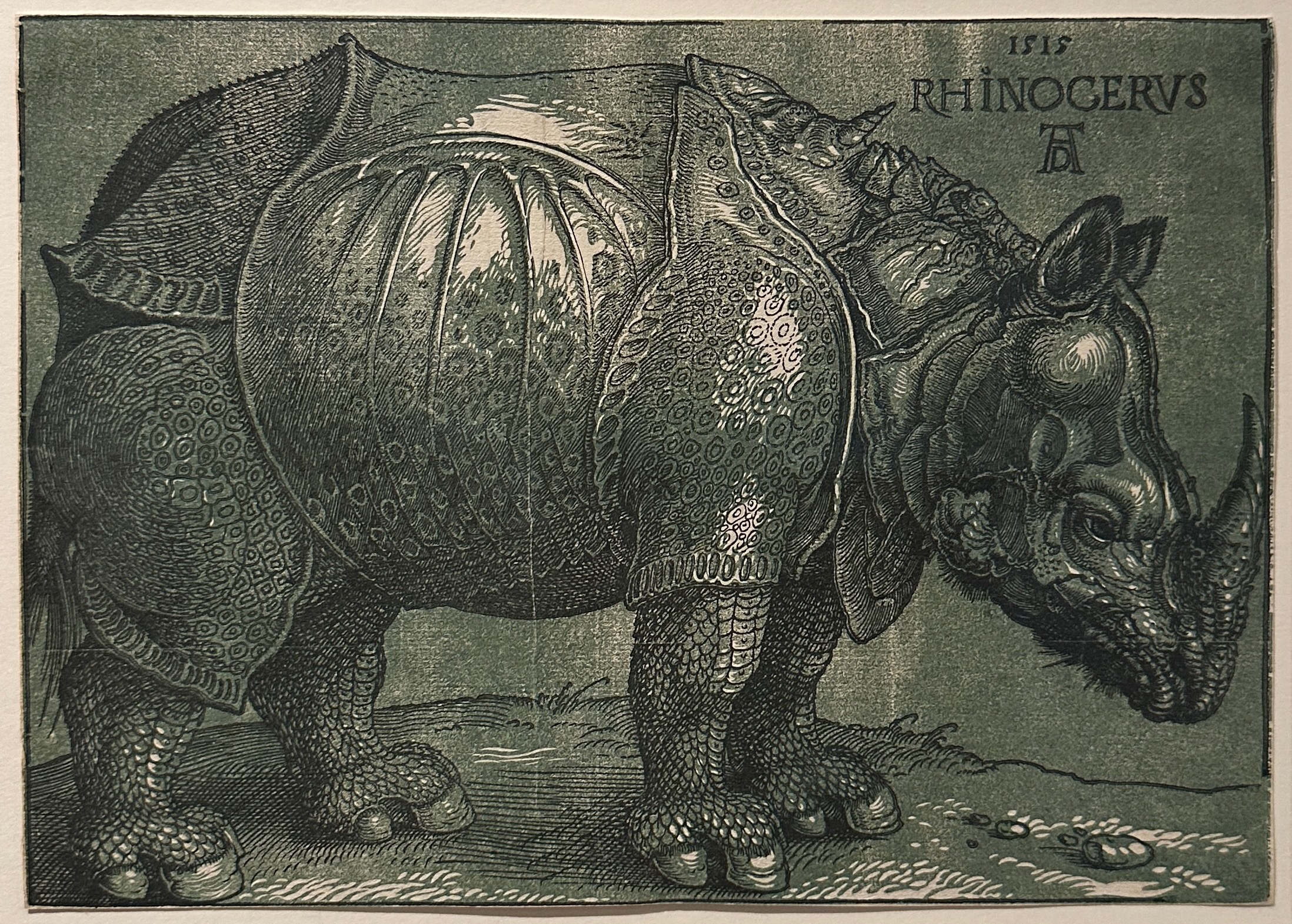 Dürer: xilografia originale del 1515 con blocco di colore verde su carta; il blocco di colore è stato aggiunto da Willem Jansz durante la stampa della xilografia originale nel 1620.