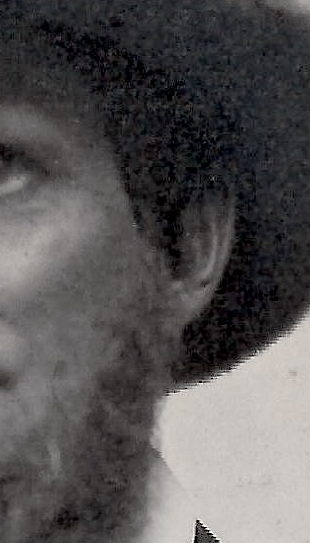 Left ear shape — earlobe hardly seen behind the sideburns