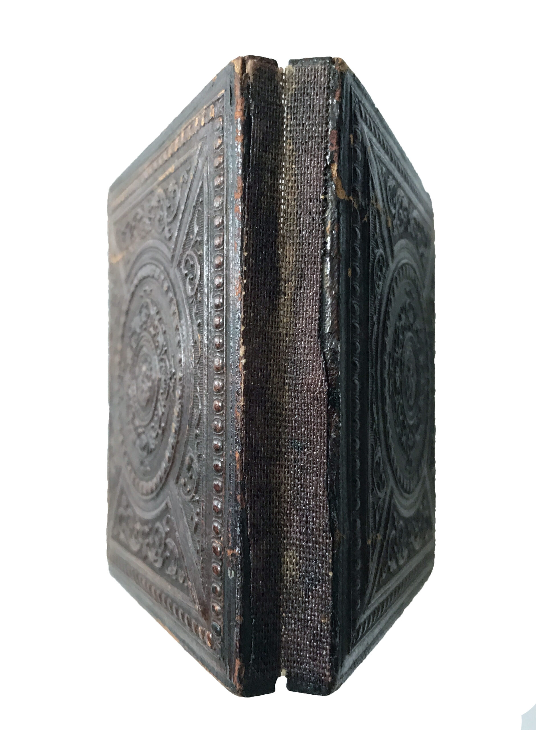 Detail of the case hinge