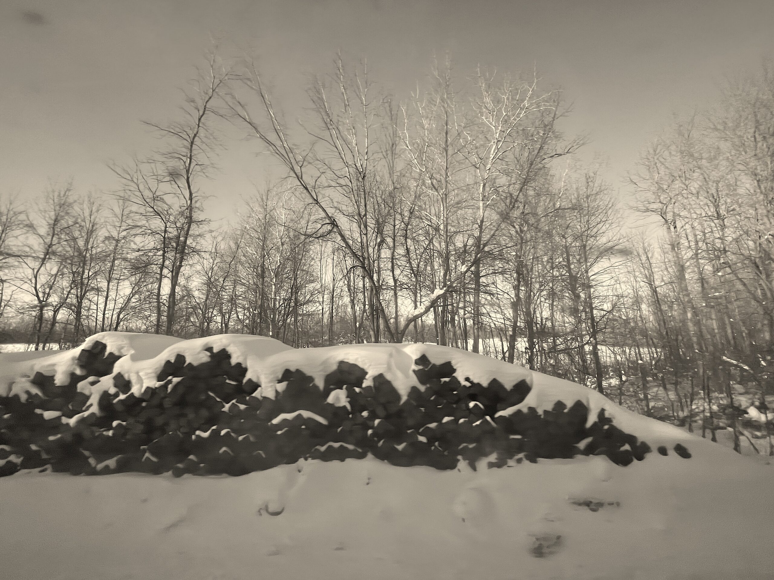 The woodpile along the train — the photographer's improvised platform