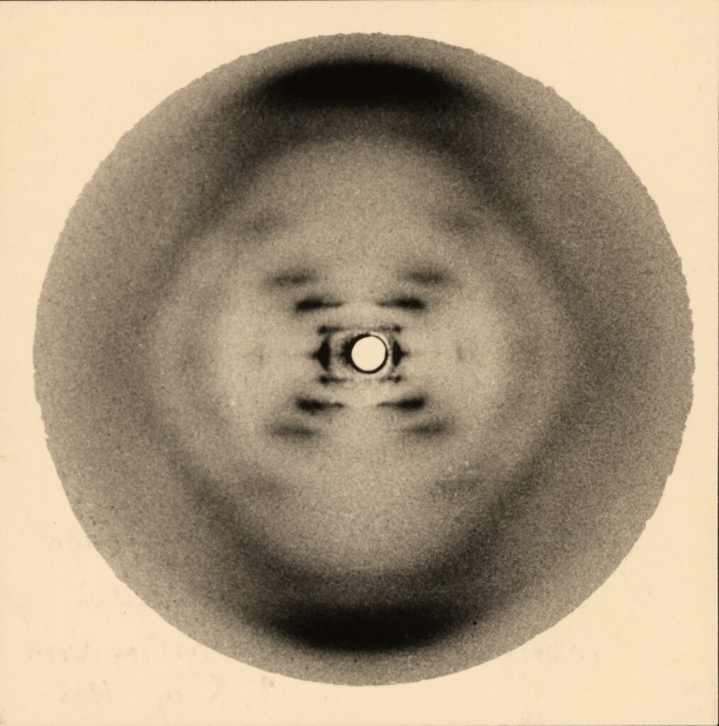 "Foto 51", immagine ottenuta mediante diffrazione della struttura a doppia elica della molecola di DNA, scattata nel 1952 da Raymond Gosling durante il suo lavoro con Rosalind Franklin