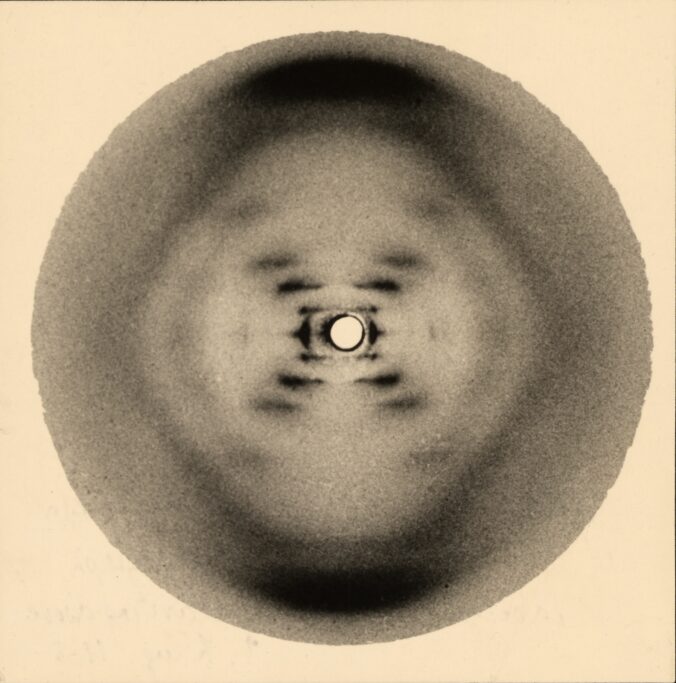 "Foto 51", immagine ottenuta mediante diffrazione della struttura a doppia elica della molecola di DNA, scattata nel 1952 da Raymond Gosling durante il suo lavoro con Rosalind Franklin