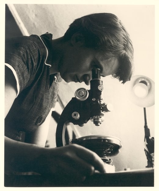 Rosalind Franklin con un microscopio nel 1955 (courtesy MRC Laboratory of Molecular Biology)