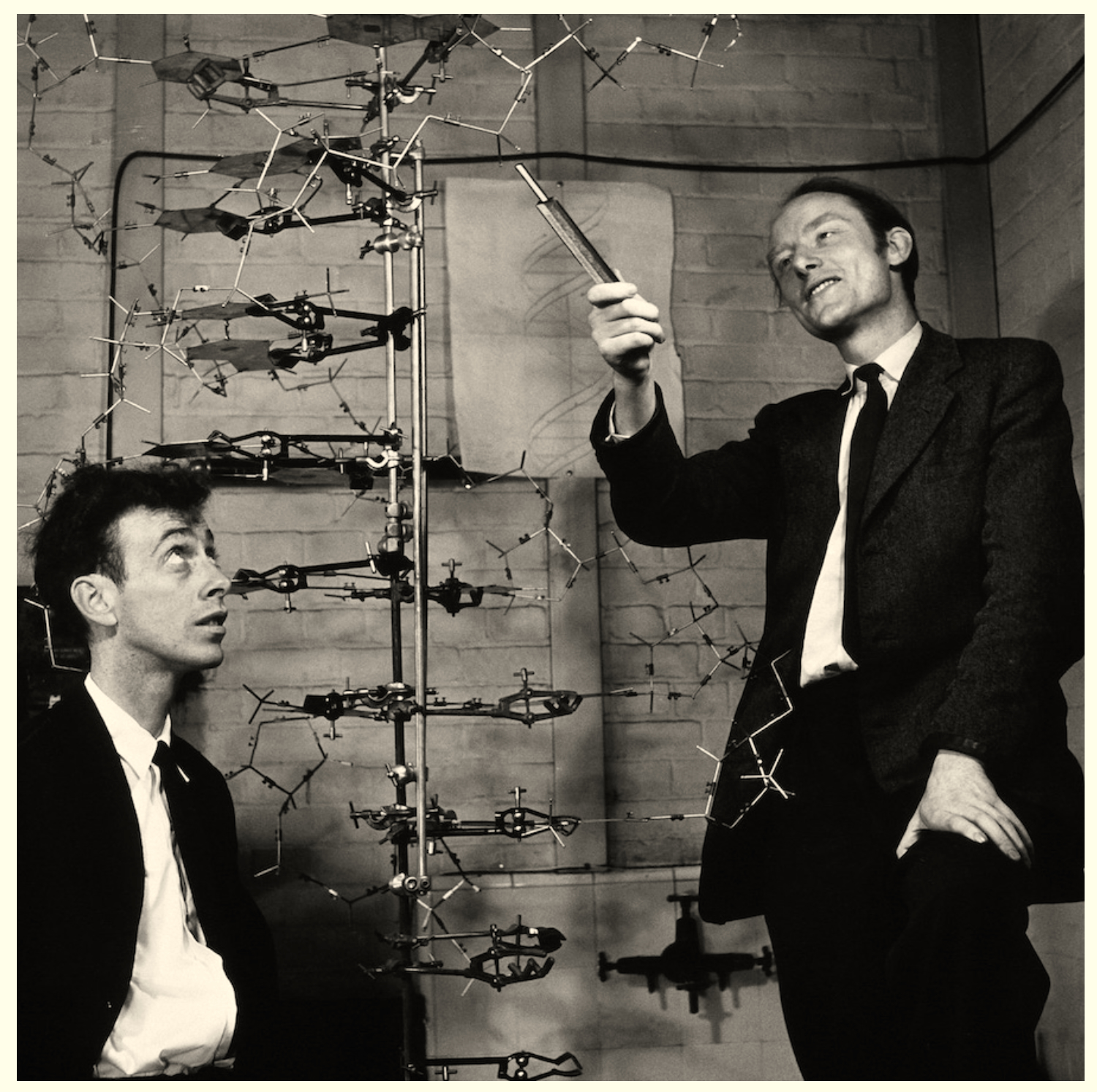 James Watson e Francis Crick con il loro modello della doppia elica del DNA al Cavendish Laboratory nel 1953 (Courtesy Science Photo Library)