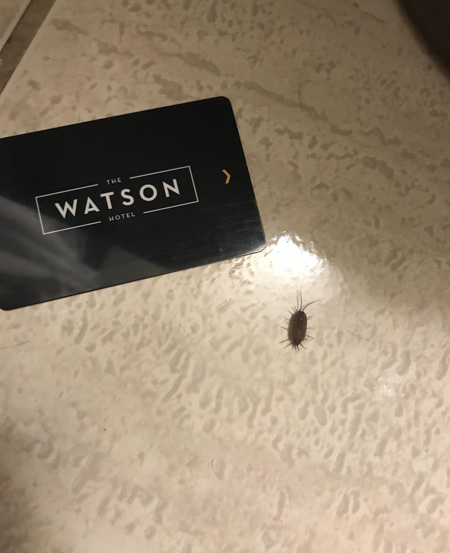 The Watson Hotel, New York